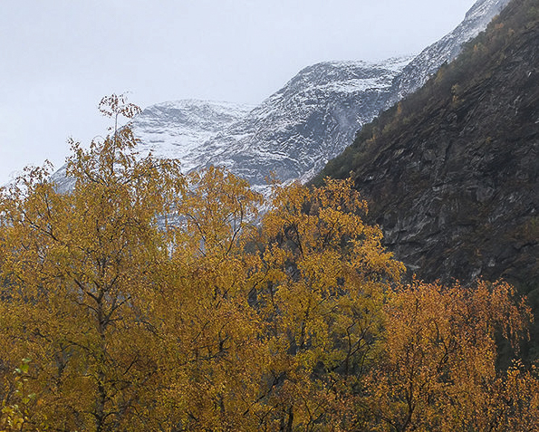 le train de flam 