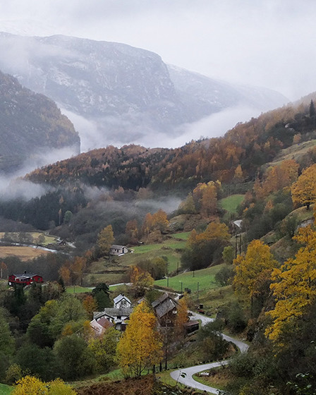 vue du train de flam en norvege