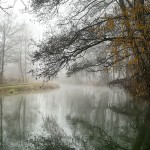 La Lomellina en hiver: brume, promenades et autres curiosités