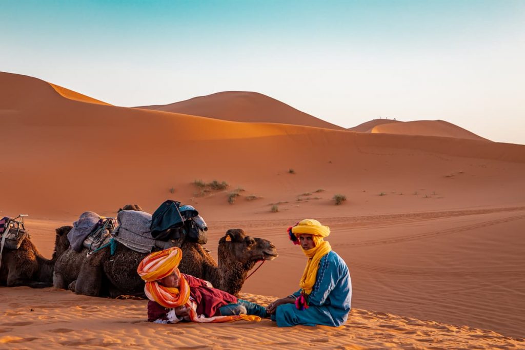 Deux bédouins assis à côté de leurs chameaux se reposent dans le désert au milieu des dunes. 